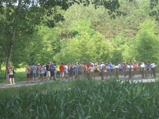 su e giù per le colline del mare