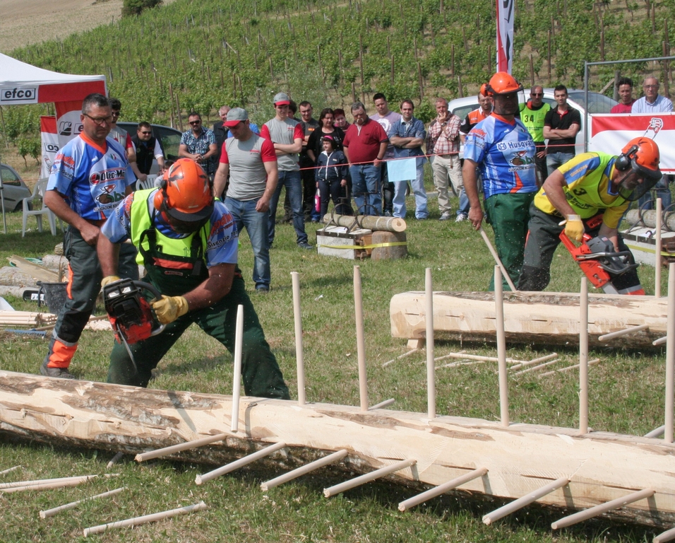 Triathlon del boscaiolo a Vigliano d'Asti